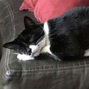 Meet your Posher, Jamie